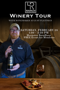 Winery Tour