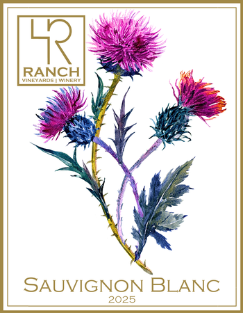 2025 Sauvignon Blanc